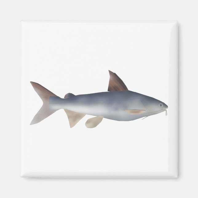 Spotted Catfish Magnet (Front)