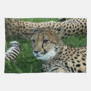 Spotted Cheetah Kitchen Towel