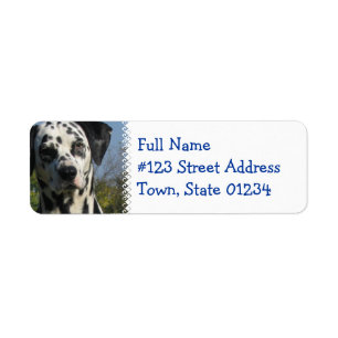 Spotted Dalmatian Return Address Label