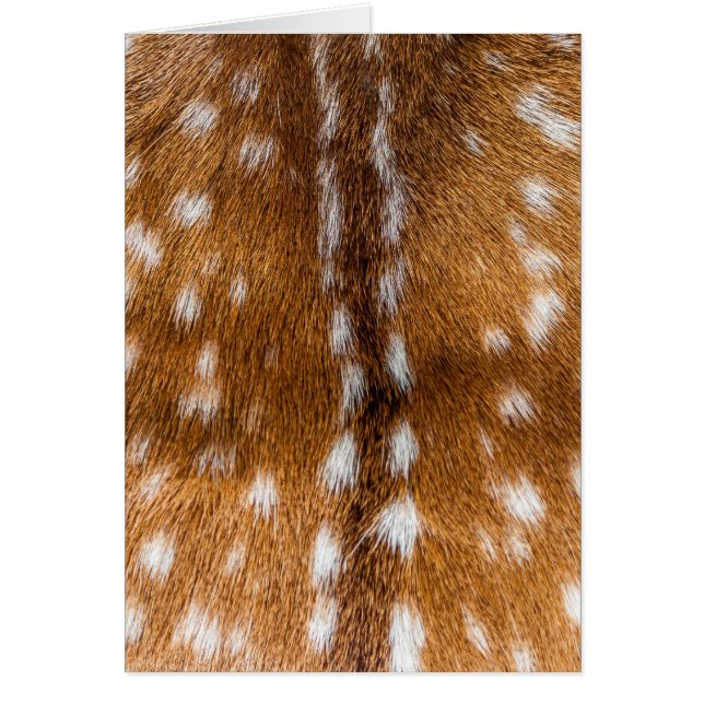 Spotted deer fur texture (Front)