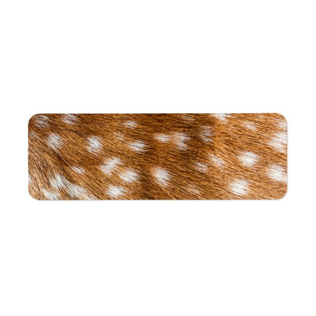 Spotted deer fur texture (Front)
