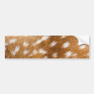 Spotted deer fur texture bumper sticker