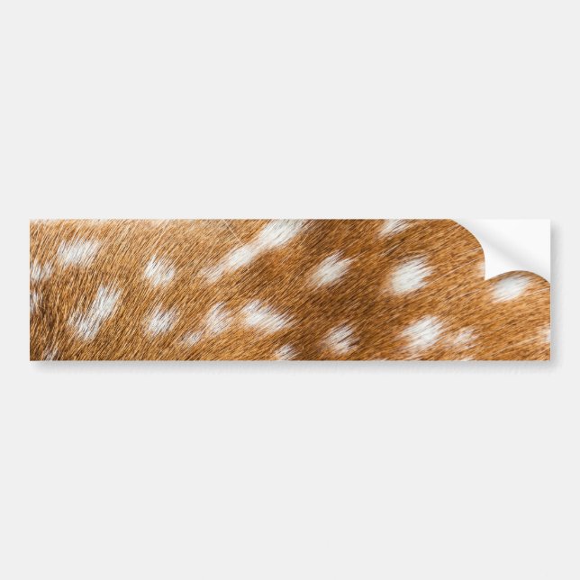 Spotted deer fur texture bumper sticker (Front)