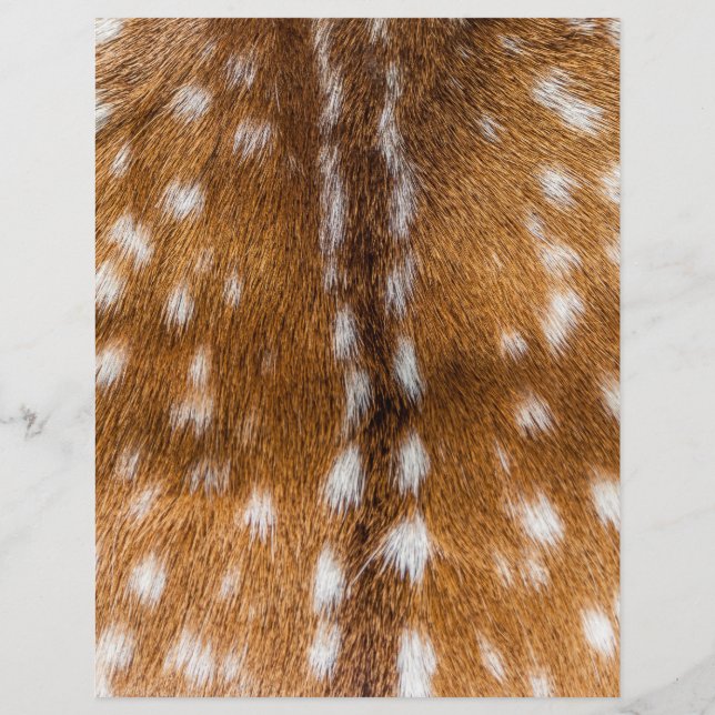Spotted deer fur texture flyer (Back)