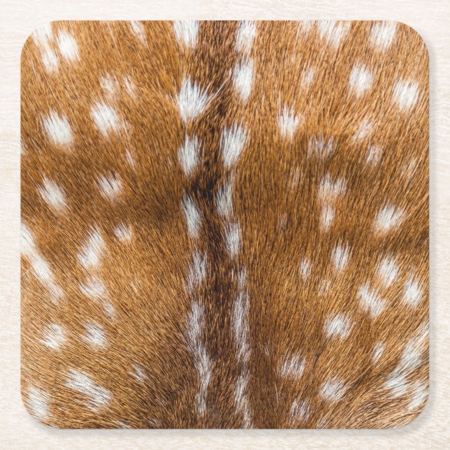 Spotted deer fur texture square paper coaster (Front)