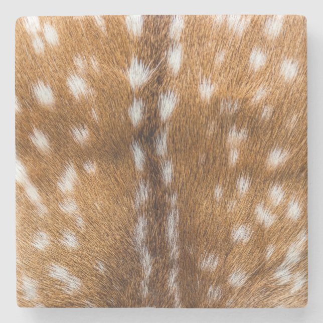 Spotted deer fur texture stone coaster (Front)