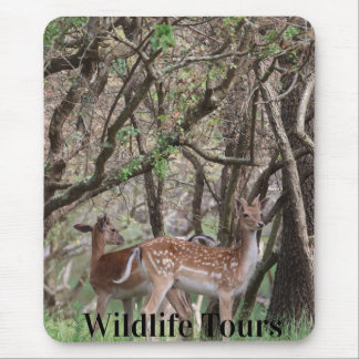 Spotted Deer Wildlife Premium Photo Mousemat