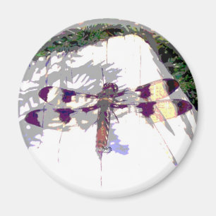 Spotted Dragonfly Magnet