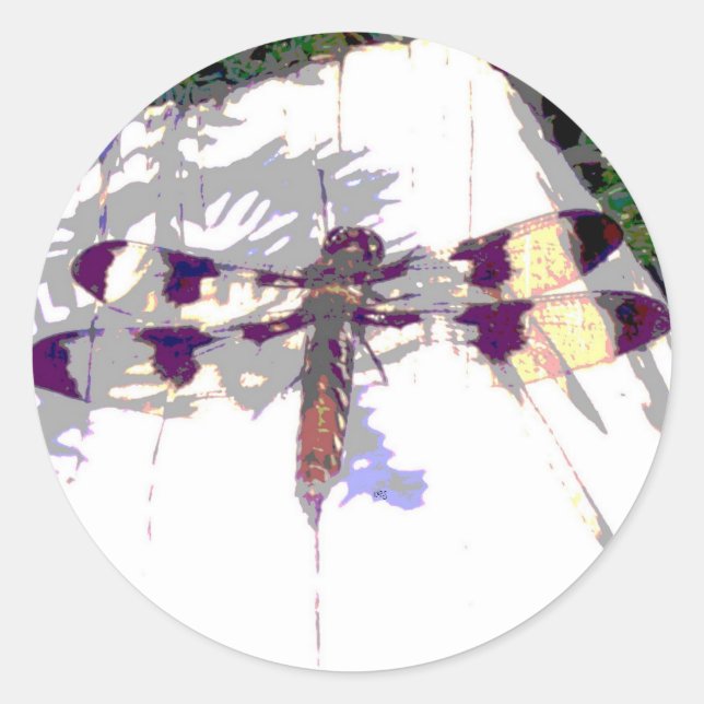 Spotted Dragonfly Sticker (Front)