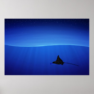 Spotted eagle ray, Aetobatus narinari Poster