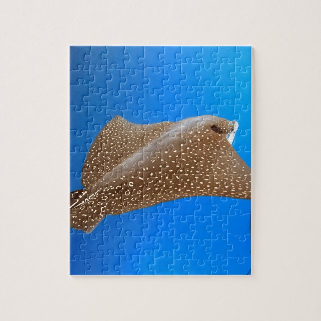 Spotted eagle ray underwater Galapagos paradise Jigsaw Puzzle (Vertical)