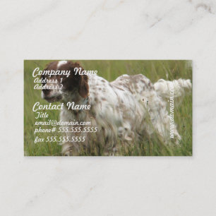 Spotted English Setter Dog Business Cards