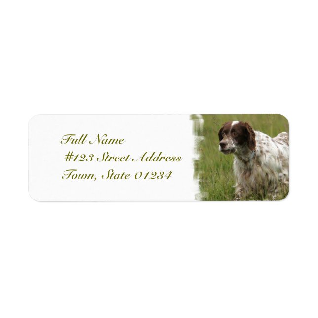Spotted English Setter Dog Mailing Labels (Front)
