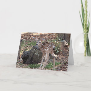 Spotted Fawn Blank Greeting Card