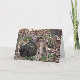 Spotted Fawn Blank Greeting Card