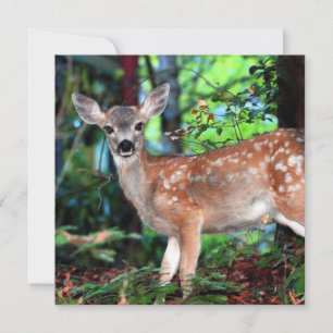 Spotted Fawn Invitation