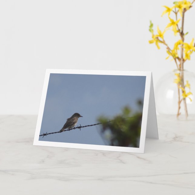 Spotted Flycatcher Bird Card (Yellow Flower)