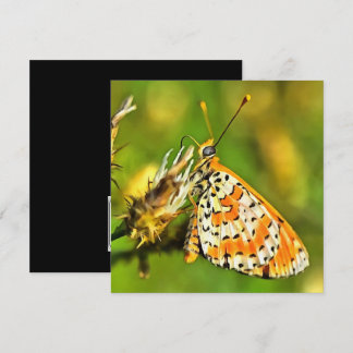 Spotted Fritillary Orange and White Butterfly  Invitation