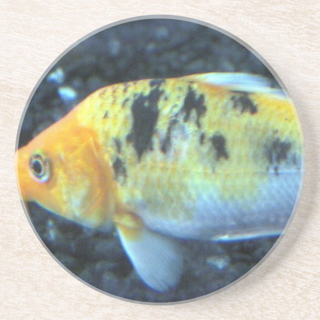 Spotted Goldfish Coaster (Front)