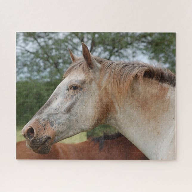 Spotted Horse Jigsaw Puzzle (Horizontal)
