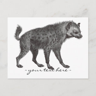 Spotted Hyena Post Card