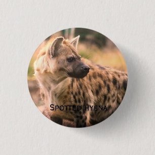 Spotted hyena:Savannah sunset 3 Cm Round Badge