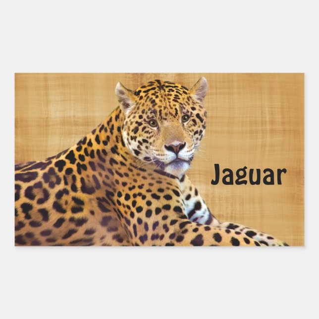 Spotted Jaguar Big Cat-lover #Gift Rectangular Sticker (Front)