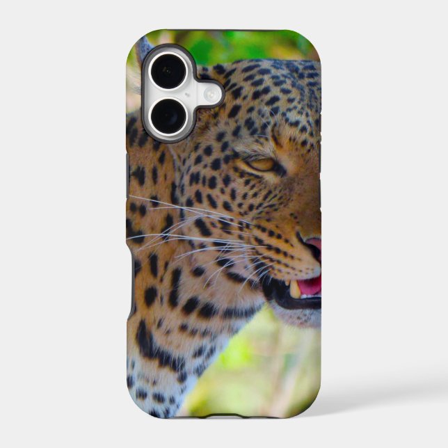 Spotted Leopard (Back)