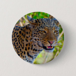 Spotted Leopard 6 Cm Round Badge