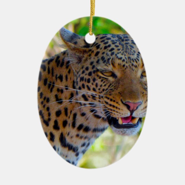Spotted Leopard Ceramic Tree Decoration (Front)