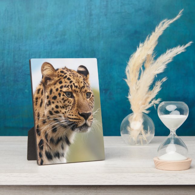 Spotted Leopard Face Portrait Plaque (Side)