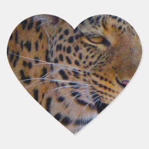 Spotted Leopard Heart Sticker
