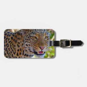 Spotted Leopard Luggage Tag