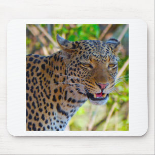 Spotted Leopard Mouse Mat
