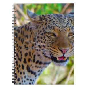 Spotted Leopard Notebook