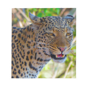 Spotted Leopard Notepad