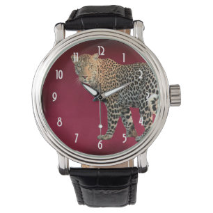 Spotted Leopard Photograph - Beautiful and Intense Watch
