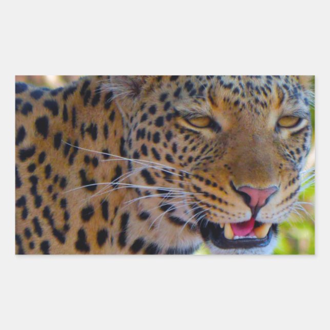 Spotted Leopard Rectangular Sticker (Front)