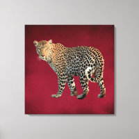 Spotted Leopard Wild Cat Photograph