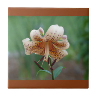 Spotted Lily Decorative Tile
