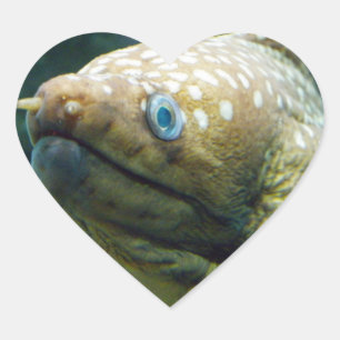 Spotted Moray Eel Heart Sticker