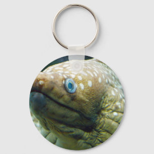 Spotted Moray Eel Key Ring
