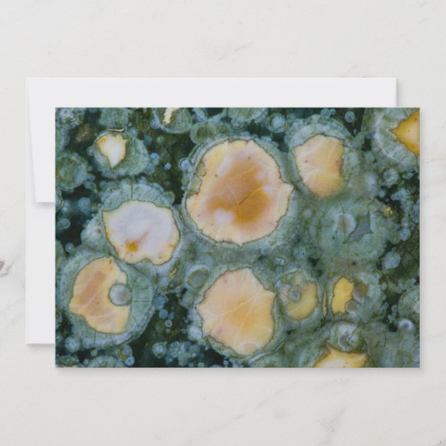 Spotted Ocean Jasper Card (Front)