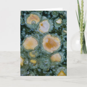 Spotted Ocean Jasper Card