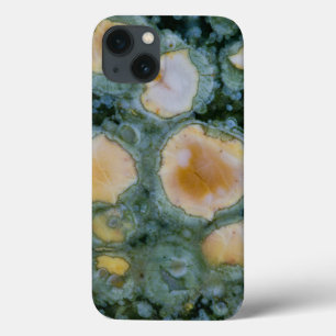Spotted Ocean Jasper iPhone 13 Case