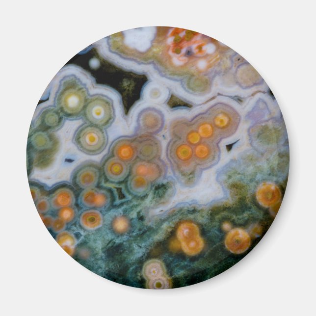 Spotted Ocean Jasper Magnet (Front)