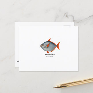 Spotted Opah – Marine Animals of California Postcard