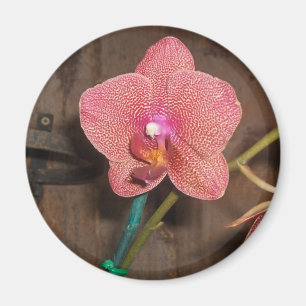 spotted orchid magnet