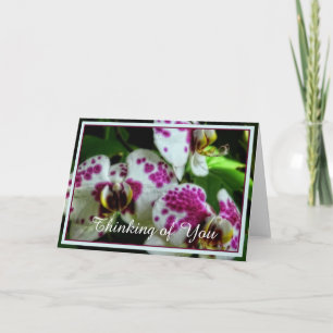 Spotted orchids card