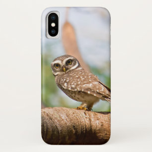 Spotted owl on morning flight. iPhone x case